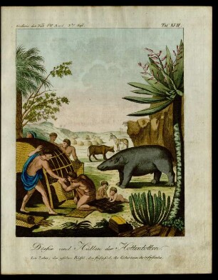 Taf. XVII. Dörfer und Hütten der Hottentotten. Ein Zebra, der afrikan. Büffel ...