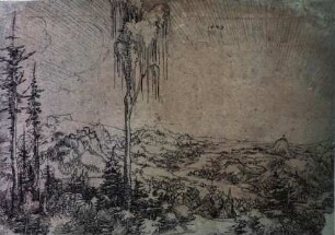 Landschaft