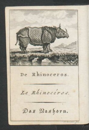 Tafel: De Rhinoceros. Le Rhinocéros. Das Nashorn.
