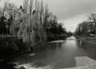 Wehr, Forst (Lausitz)