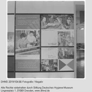 Hausausstellung - "Rehabilitation"