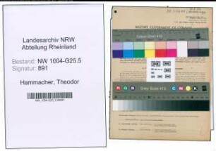 Entnazifizierung Theodor Hammacher , geb. 02.05.1909 (Schreinermeister)