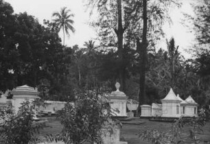 Englische Gräber : Friedhof in einer Palmenlandschaft mit weißen Gräbern
