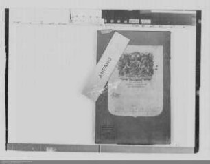 Graf Moritz von Bentheim-Tecklenburg ./. Graf Johannes von Nassau-Idstein: Entschädigung für die Allodialgüter der Grafschaft Nassau-Wiesbaden