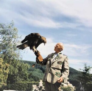 Berlebeck. Adlerwarte. Adolf Deppe mit Steinadler "Peter"