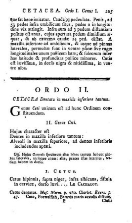 Ordo II. Cetacea Dentata in maxilla inferiore tantum