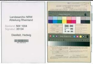 Entnazifizierung Hedwig Diesfeld , geb. 14.05.1880 (Sekretaerin)