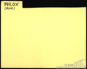 PHLOX: Allgemein