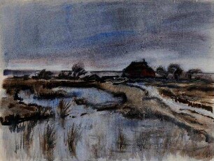 Moorlandschaft