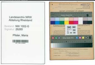 Entnazifizierung Maria Pfister, geb. 21.09.1901 ()