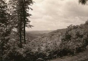 Woogbachtal. Blick talabwärts zur Strasse Sankt Ingbert - Ensheim