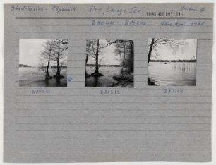 Der Lange See. Berlin, Köpenick