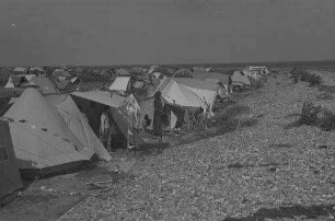 Heiligenhafen: Campingplatz