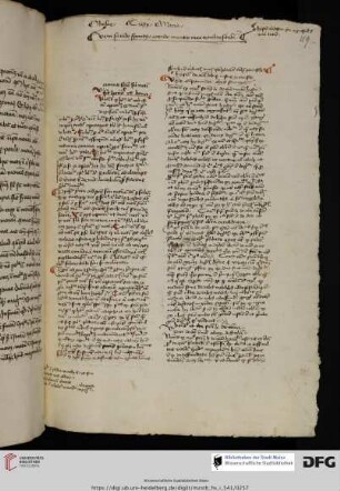Henricus de Gorrichem, Positiones libri De Anima