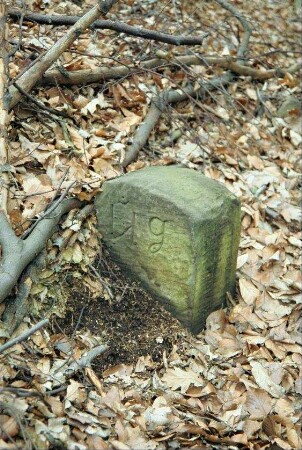 alter Grenzstein mit Inschrift Gg (Gemeindegrenze?)