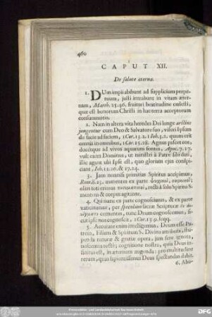 Caput XII. De salute aeterna.