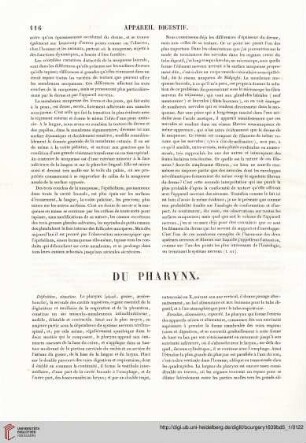 Du Pharynx