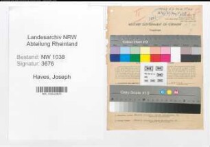 Entnazifizierung Joseph Haves , geb. 01.05.1899 (Finanzbeamter)