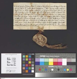 Seligenstadt: Consensus prepositi Decani scolastici ac totius capituli Majoris Moguntini super incorporationem parochialis ecclesie Selgenstadt cu...