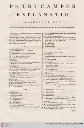 Explanatio tabulae