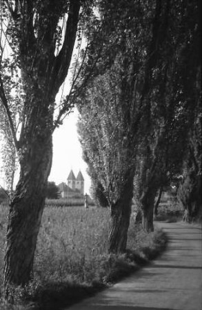 Unterzell: Pappelallee mit Blick auf die Kirche