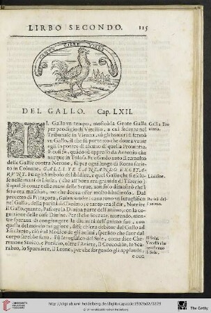 Cap. LXII. Del Gallo