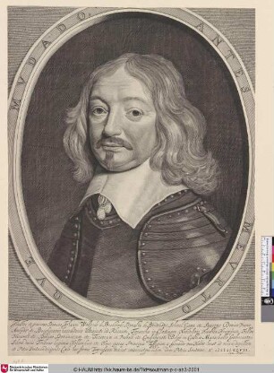 [Johannes Wolfert van Brederode; Brederode, Johannes Wolfert van, lord of Vianen, fieldmarshal]