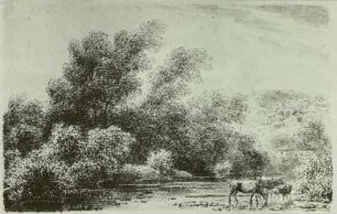 Flußlandschaft mit Kühen