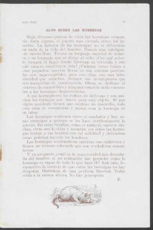 Algo sobre las hormigas