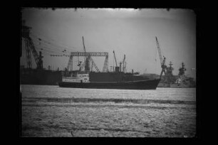 Norder Piep (1963), NDL.- Norddeutscher Lloyd, Bremen