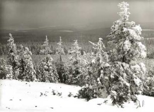Osterzgebirge. Kahleberg. Blick von der kahlen Gipfelhalde mit Wetterfichten nach Südwest zum Tal der Wilden Weißeritz