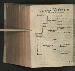 Tabula VII. De Specialibvs In Actione Externa