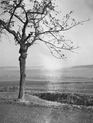 Cotta. Blick von Cotta über das Gottleubatal auf Langenhennersdorf