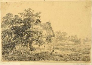 Ruine eines Bauernhauses in Dölzschen (Dresden-Dölzschen)
