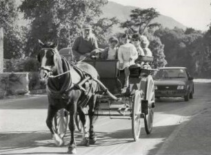 Kutschfahrten in der Gegend um Killarney