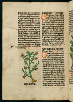 209v-210r, Ein stain allso genannt (409. Kapitel)