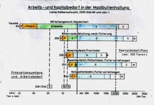 Arbeits- und Kapitalbedarf in der Mastbullenhaltung (ohne Kälberaufzucht, 2200 Std./AK und Jahr)