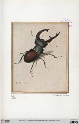 Heft 9 (Juniheft 1921)