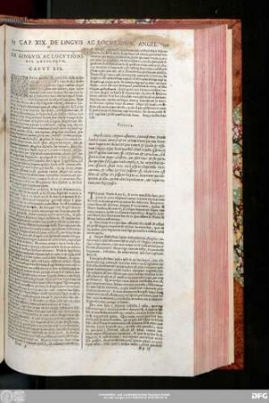 De Linguis Ac Locutionibus Angelorum. Caput XIX.