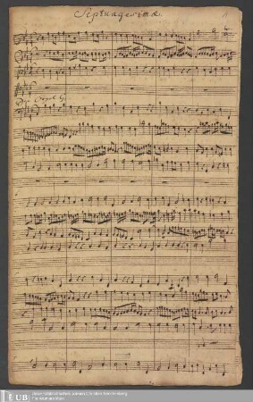 Ms. Ff. Mus. 1278 - Septuagesimae