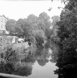 Trave: Stadtarm hinter der Hindenburgstraße