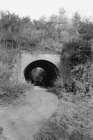 Eisenbahnbrücke (Brückenanlage); Otzberg, Eisenbahn