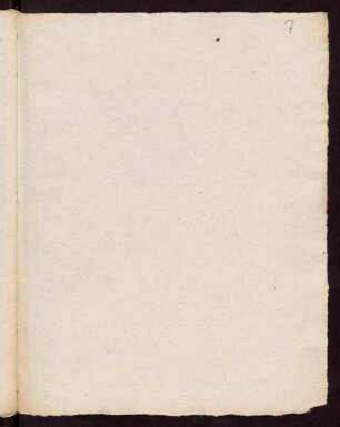 7r-7v, Leerseiten