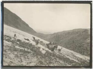 Eisladen am Gletscher des Chacaltaya