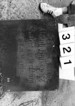 Grabstein 321