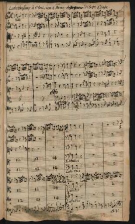 Laetatus sum; V (5), strings, org; D-Dur