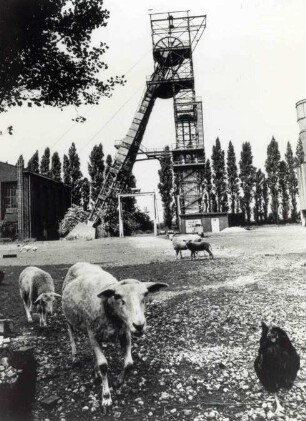 Zeche Hugo, Schacht Nord (7) in Gelsenkirchen nach der Stillegung