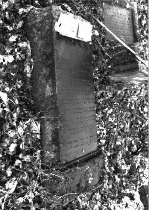 Grabstein 1006