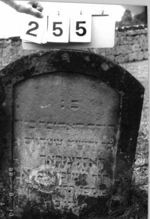 Grabstein 255