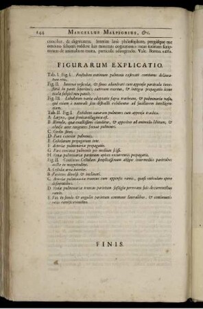 Figurarum Explicatio. [Abb. siehe römische Paginierung]
